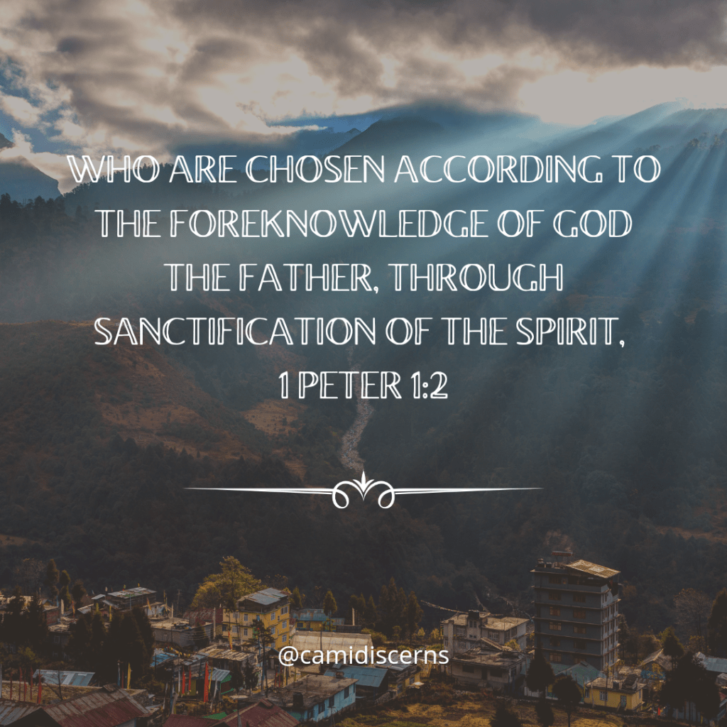 Introduction To Biblical&nbsp;Foreknowledge