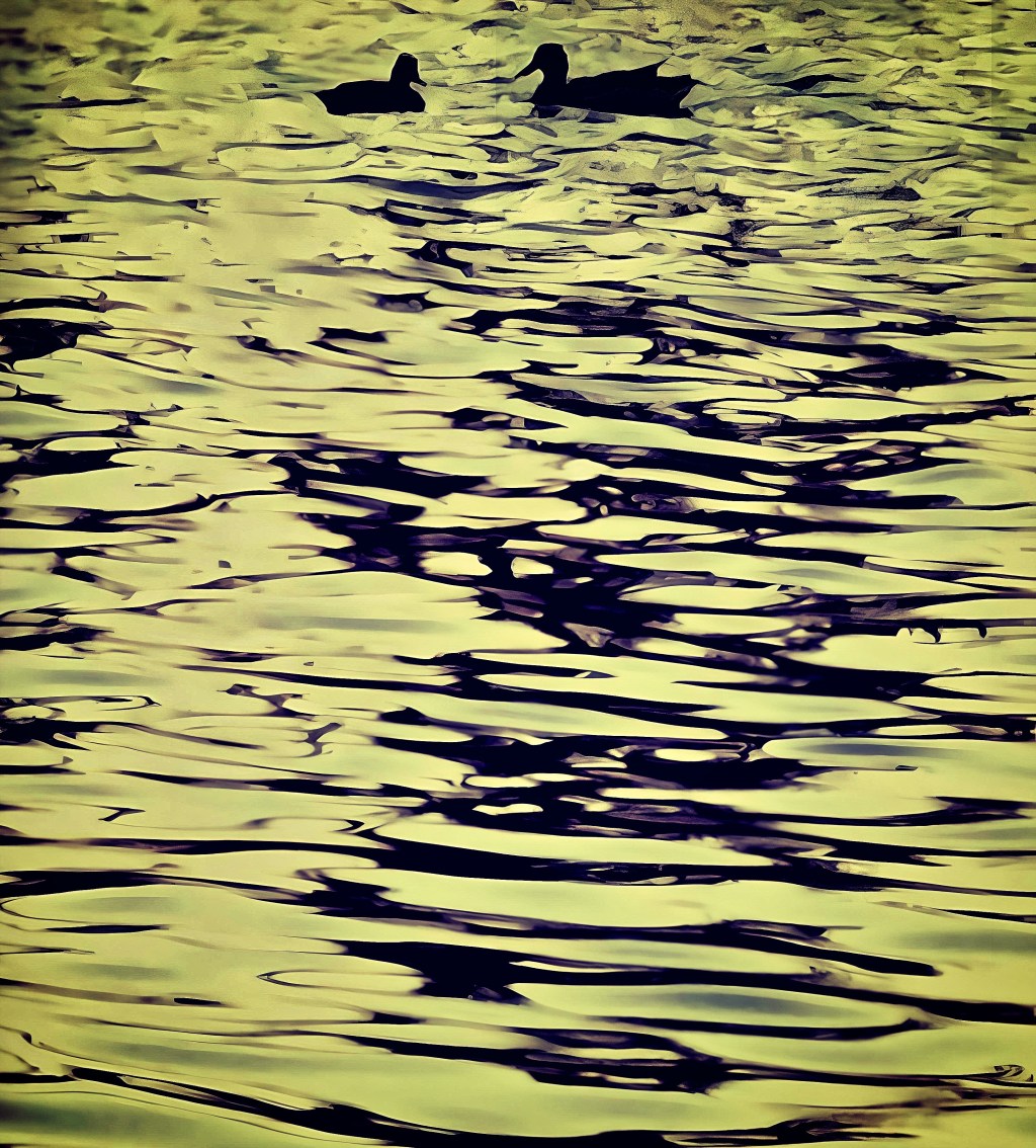 Philosophical Overview: Exploring Metaphysics, Epistemology, and Ethics