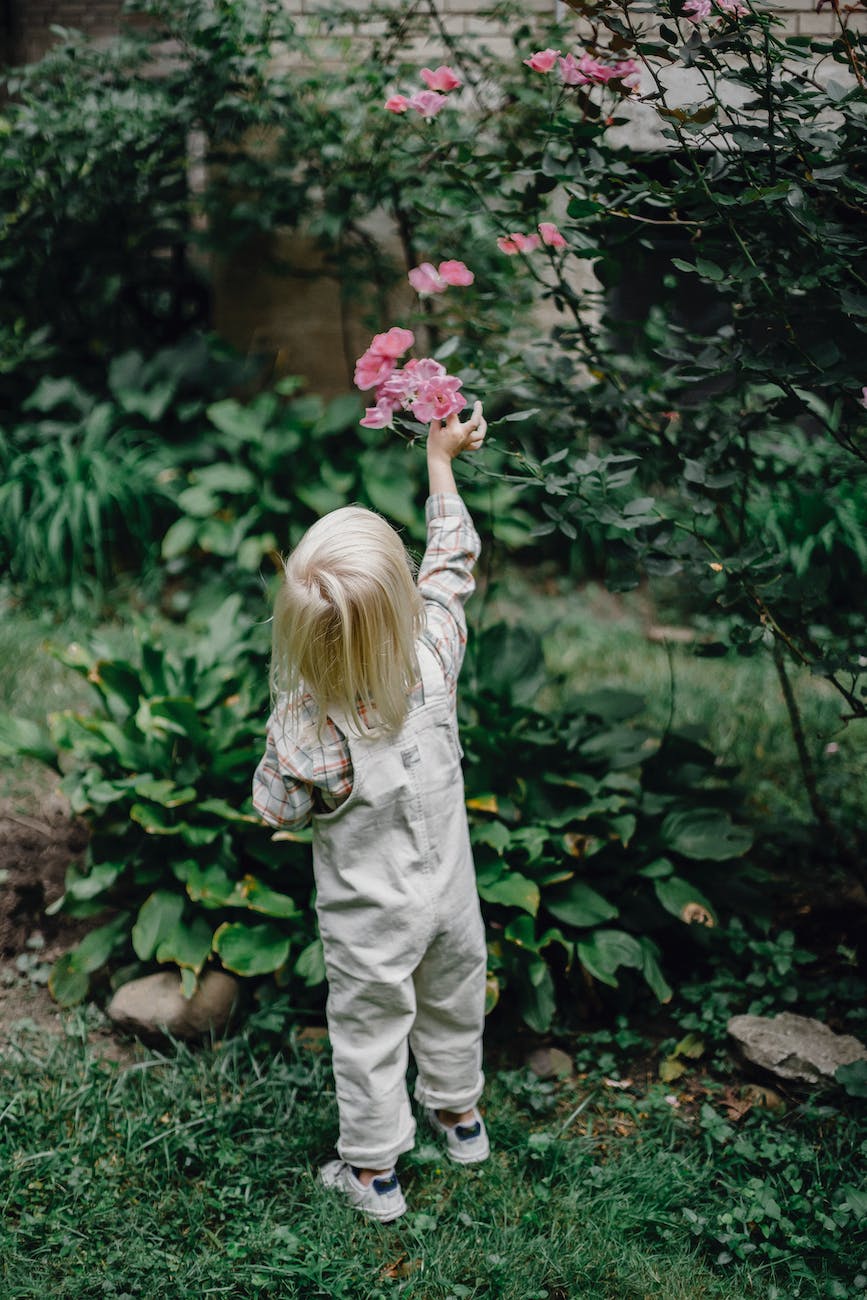 unrecognizable toddler picking flowers in green garden
