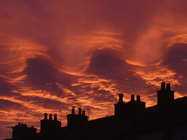 The Two Witnesses of Revelation 11: Elijah and&nbsp;Moses?